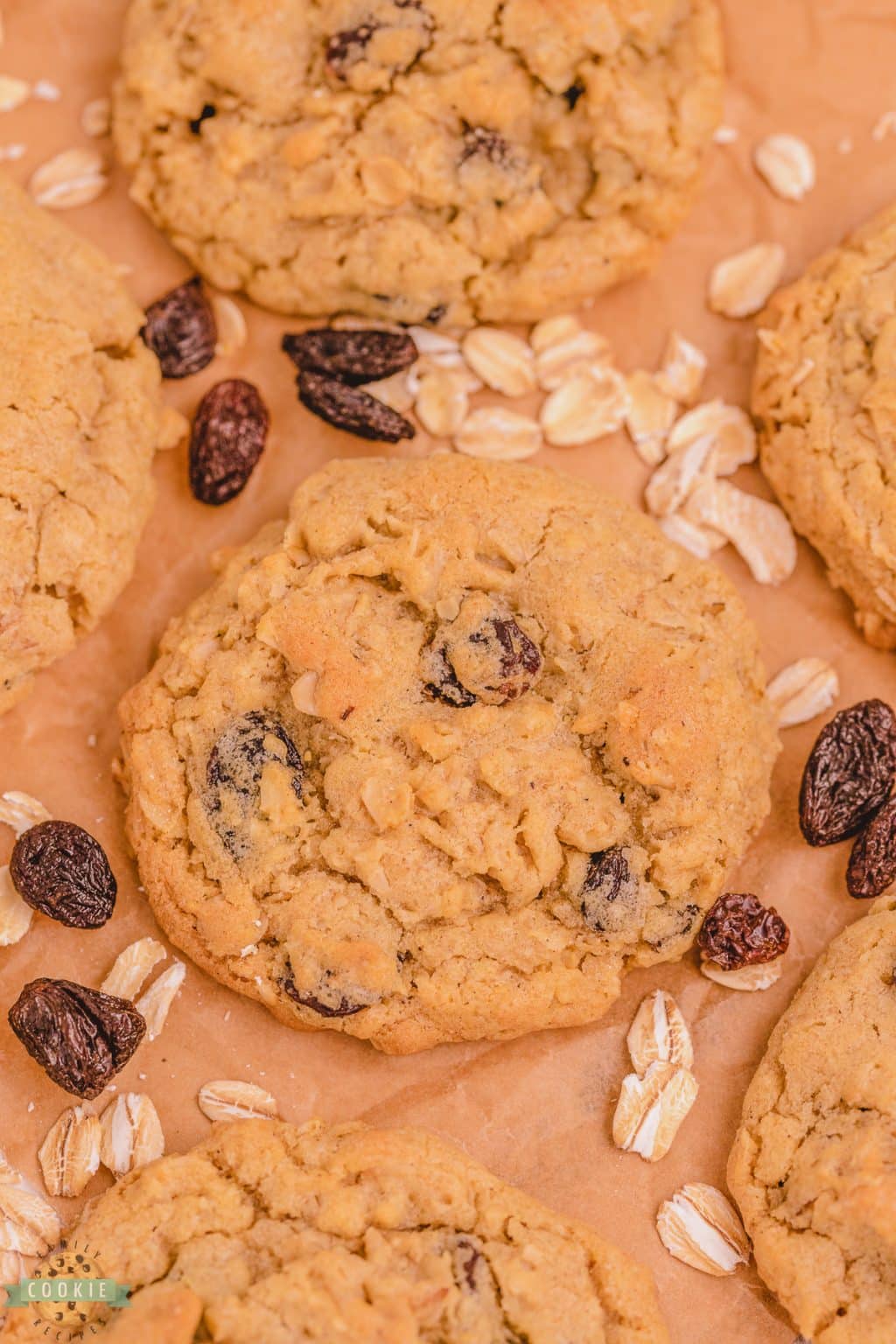 BEST OATMEAL RAISIN COOKIES Family Cookie Recipes