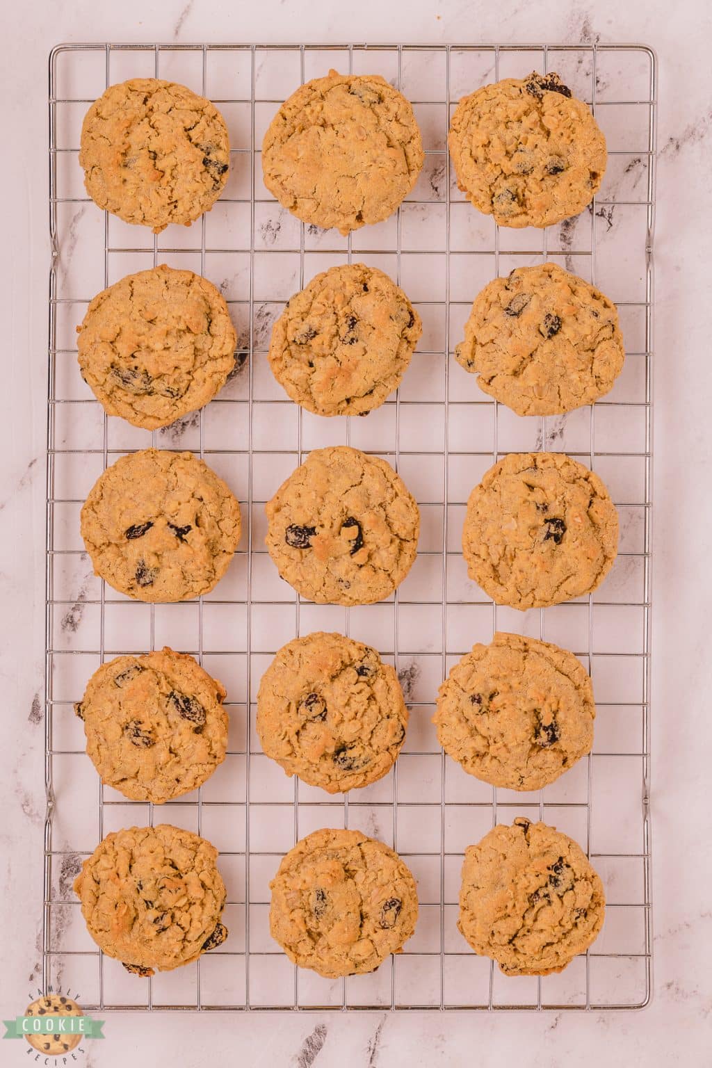 BEST OATMEAL RAISIN COOKIES Family Cookie Recipes