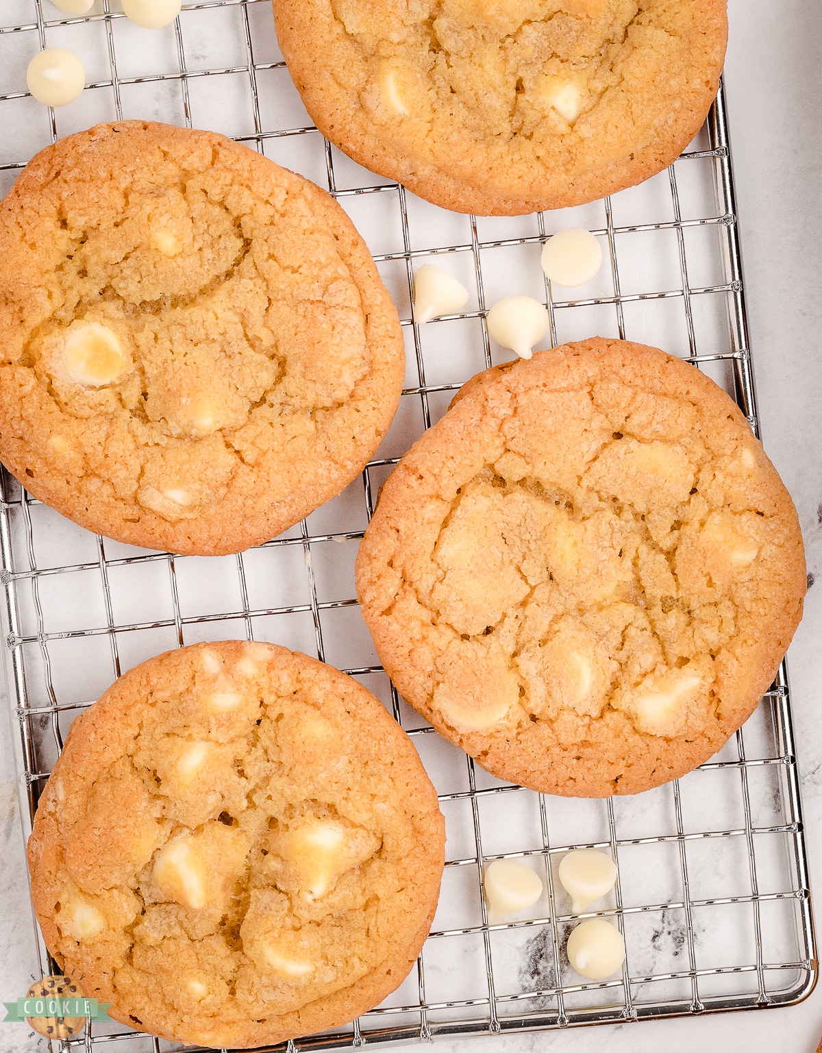 white chocolate cookies cooling on a rack