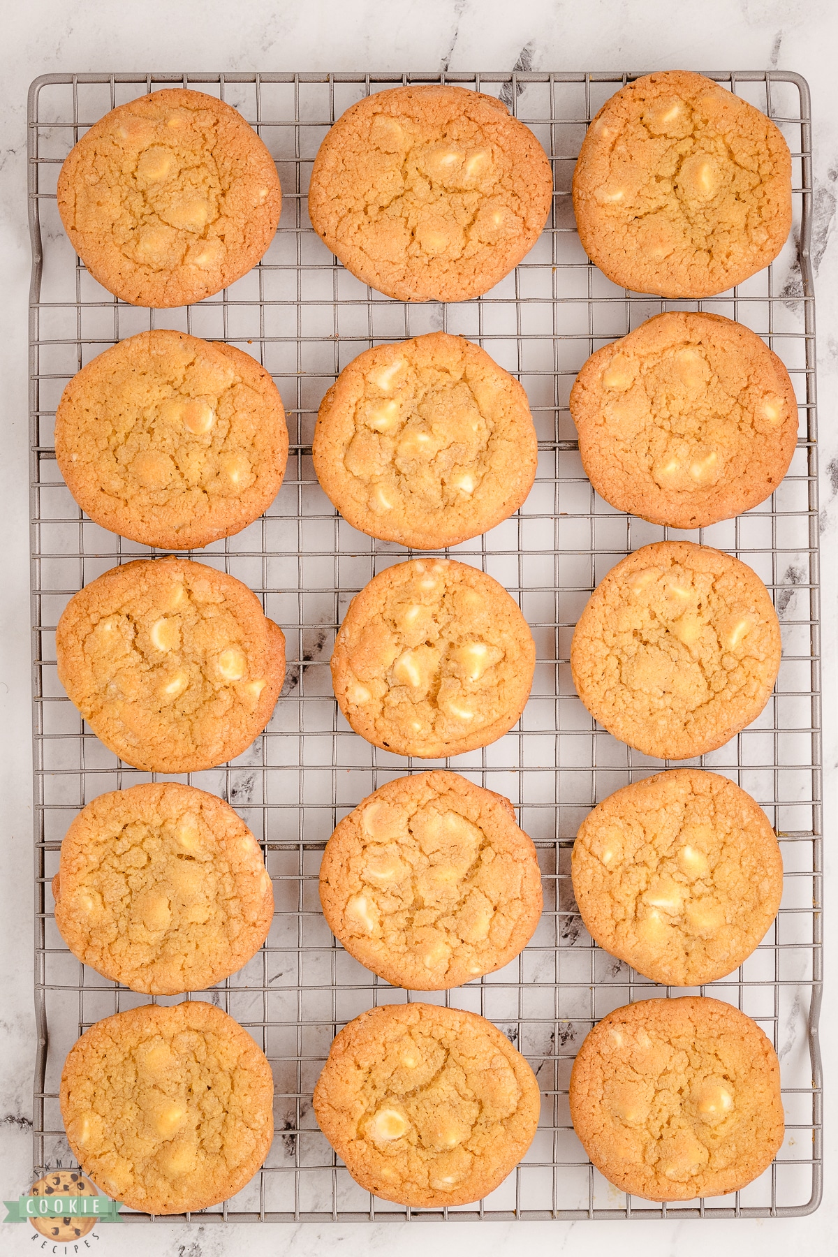 cooling rack with white chocolate chip cookies