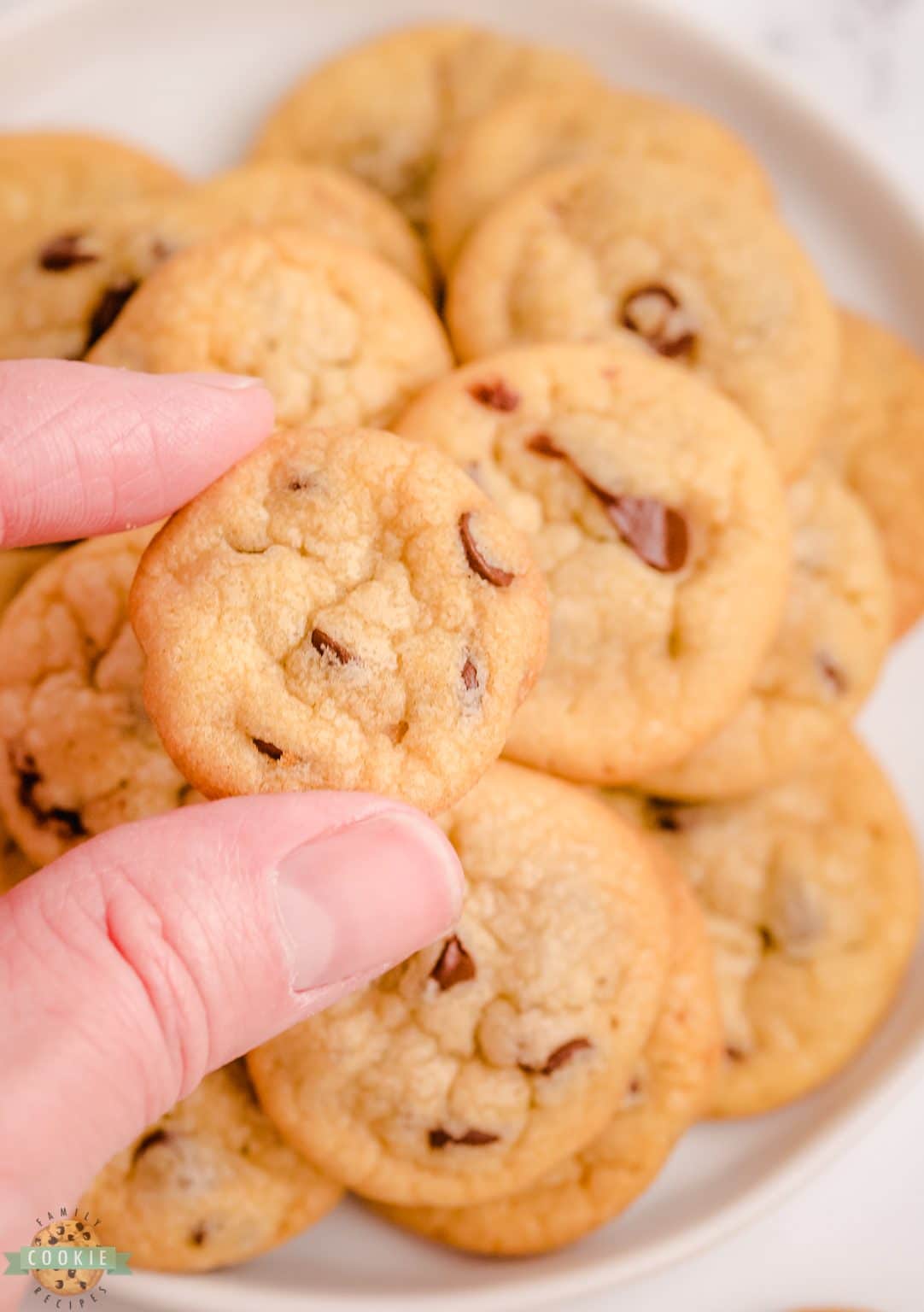 MINI CHOCOLATE CHIP COOKIES Family Cookie Recipes