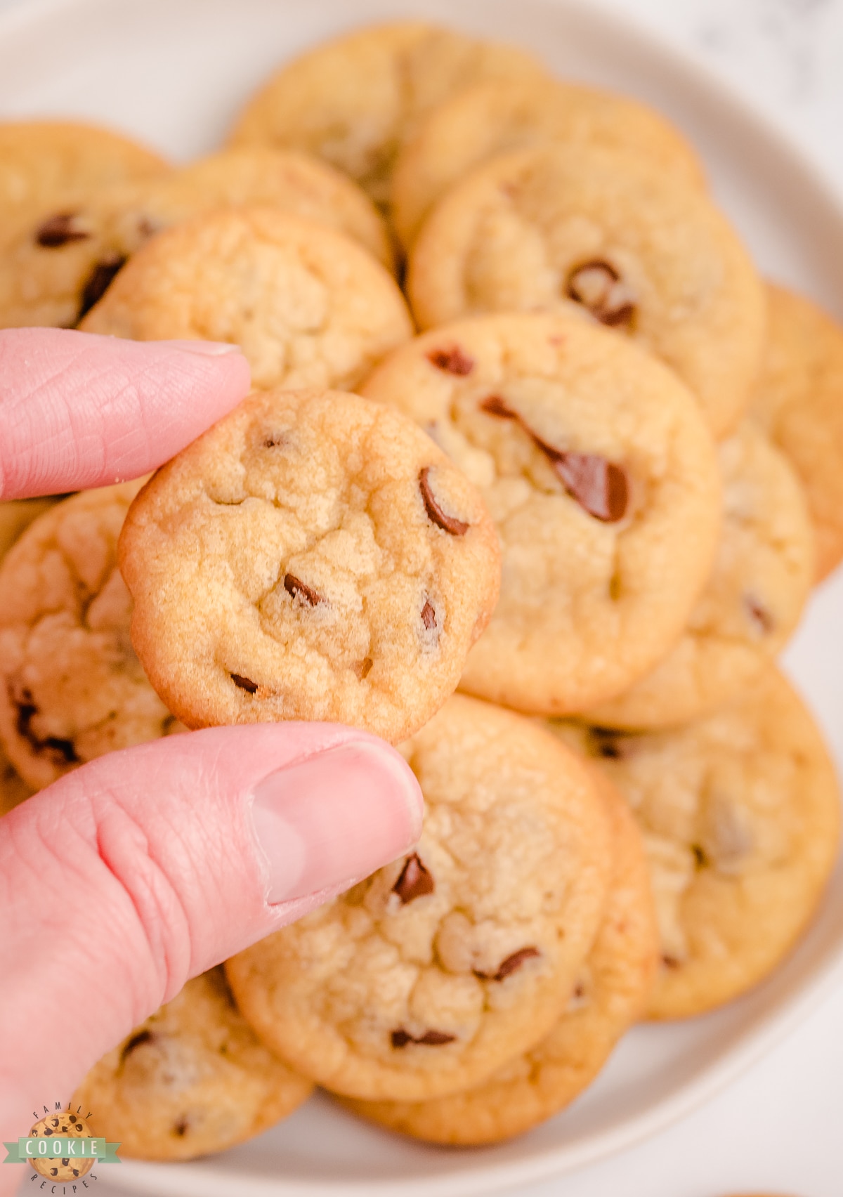 holding up a tiny chocolate chip cookie