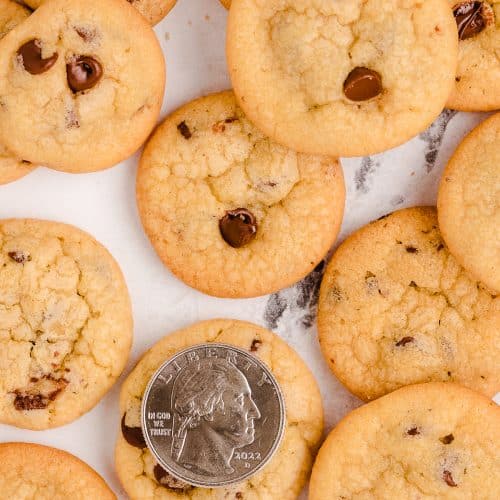 MINI CHOCOLATE CHIP COOKIES Family Cookie Recipes