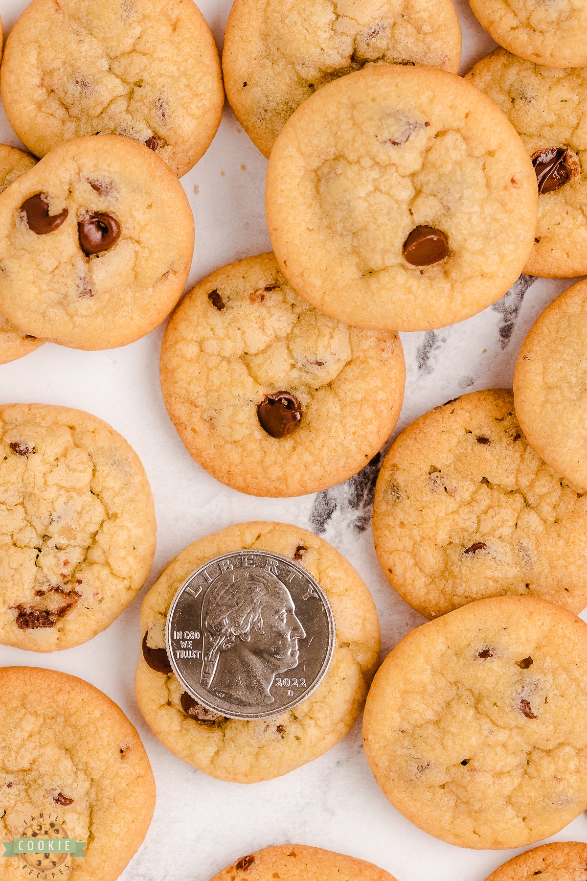 tiny chocolate chip cookies