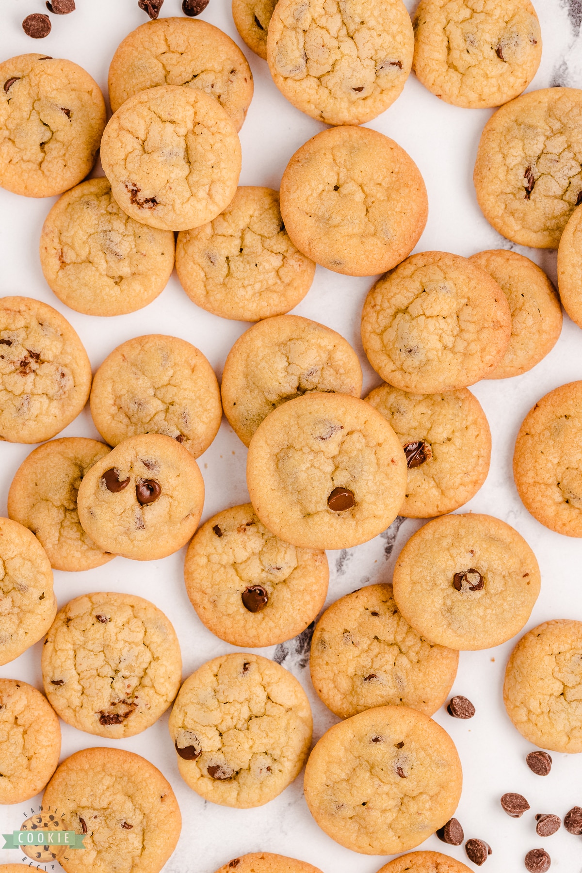 tiny chocolate chip cookies