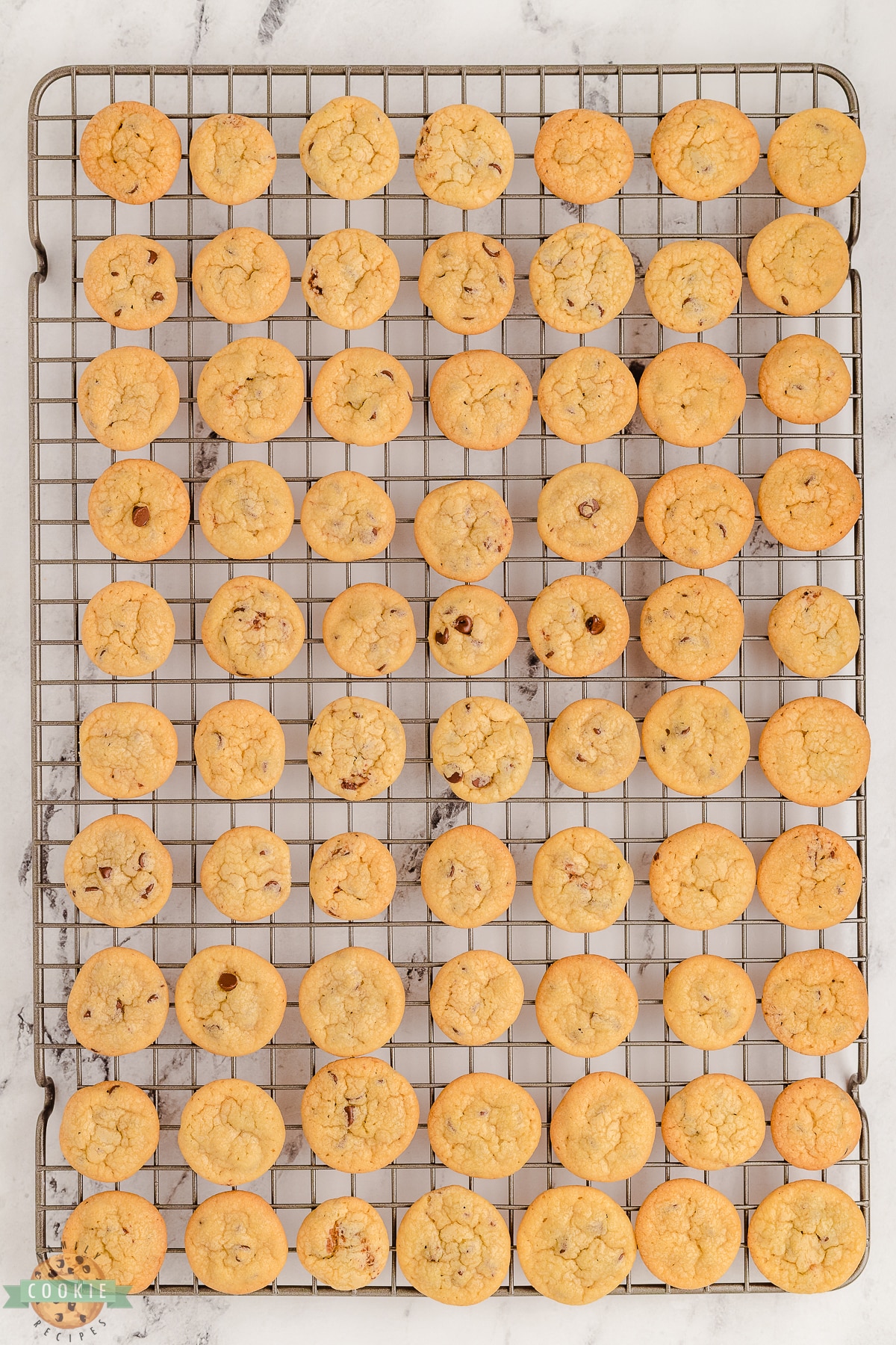 mini chocolate chip cookies on a cooling rack