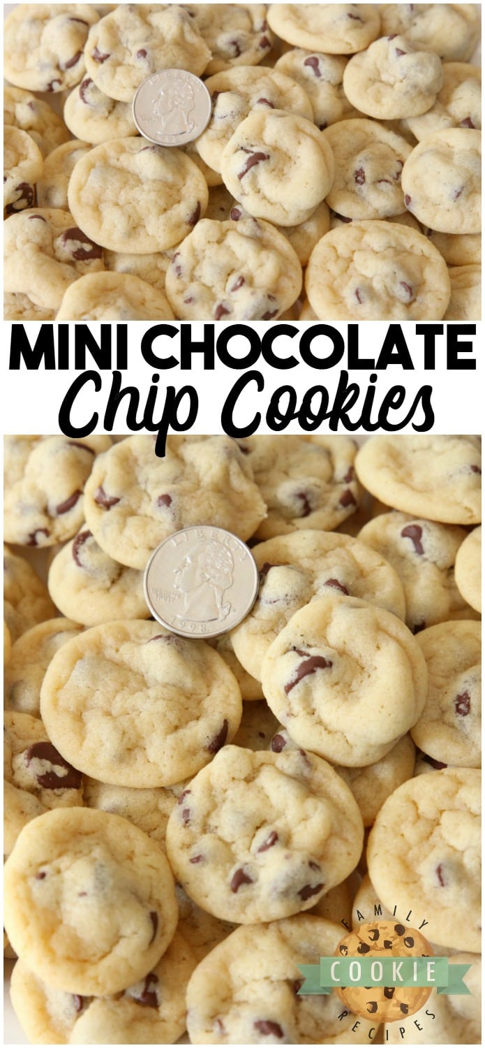 Mini Chocolate Chip Cookies are teeny tiny chocolate chip cookies about the size of a quarter! Soft, chewy poppable cookies that are perfect for parties. #cookies #mini #cookies #chocolatechip #party #recipe #dessert