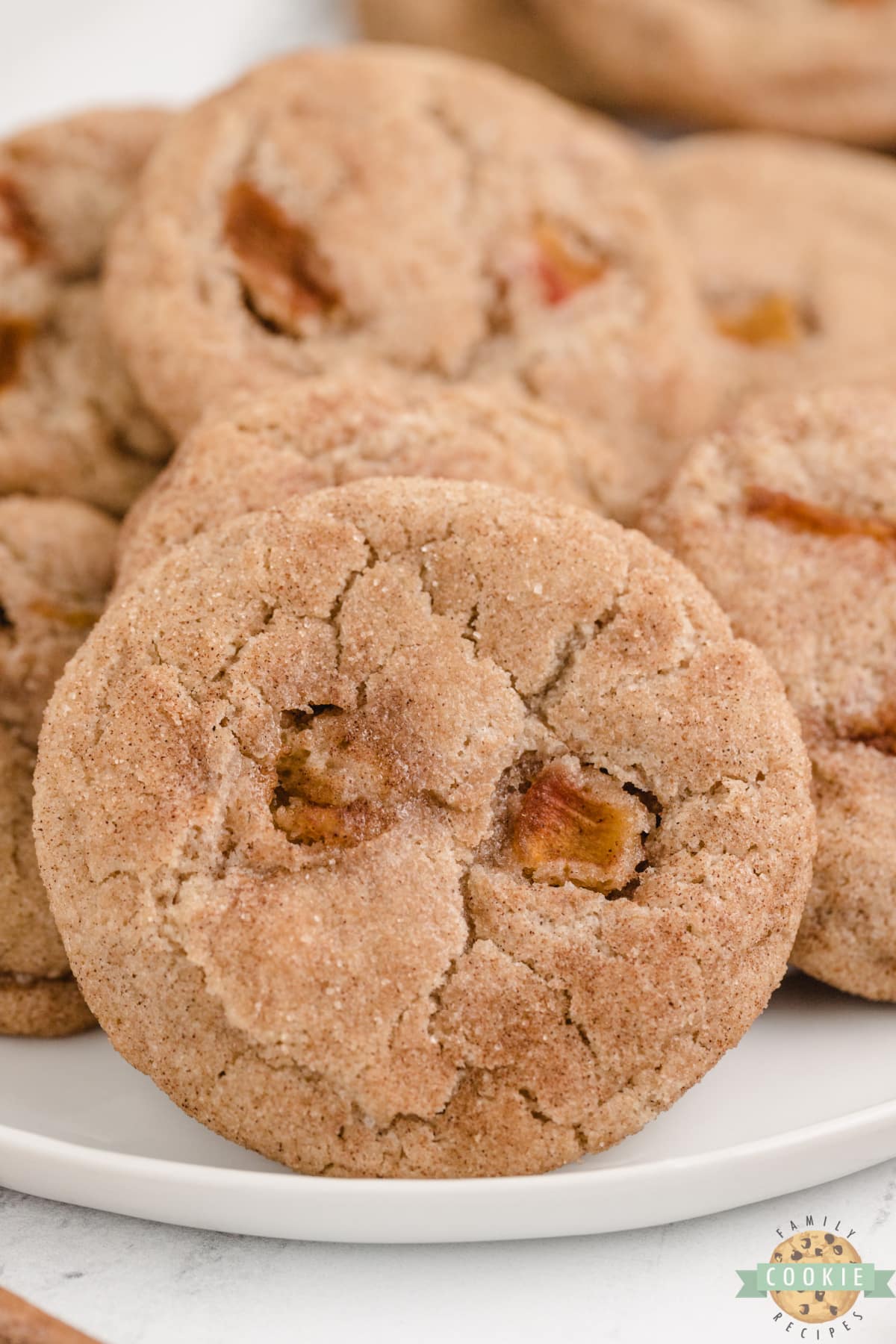 Soft and chewy snickerdoodle cookie recipe