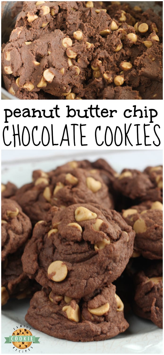 PEANUT BUTTER CHIP CHOCOLATE COOKIES - Family Cookie Recipes