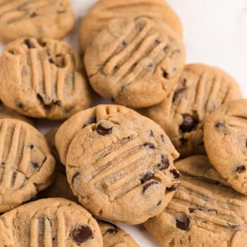 https://familycookierecipes.com/wp-content/uploads/2018/05/Peanut-Butter-Chocolate-Chip-Cookies-10-500x500.jpg