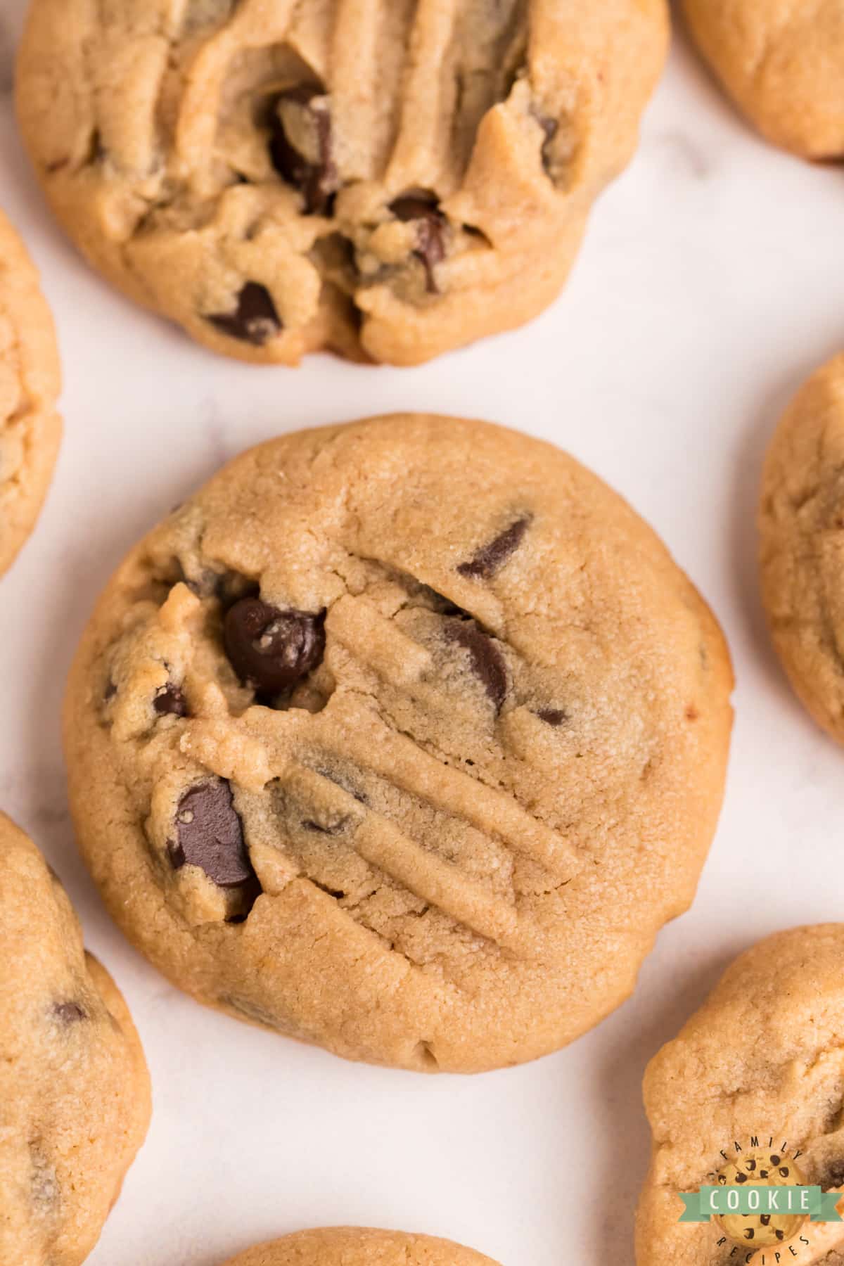 Peanut butter cookie with chocolate chips