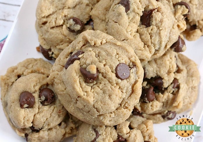 Peanut Butter Oatmeal Chocolate Chip Cookies - the perfect cookie when you can't decide which type of cookie to make!