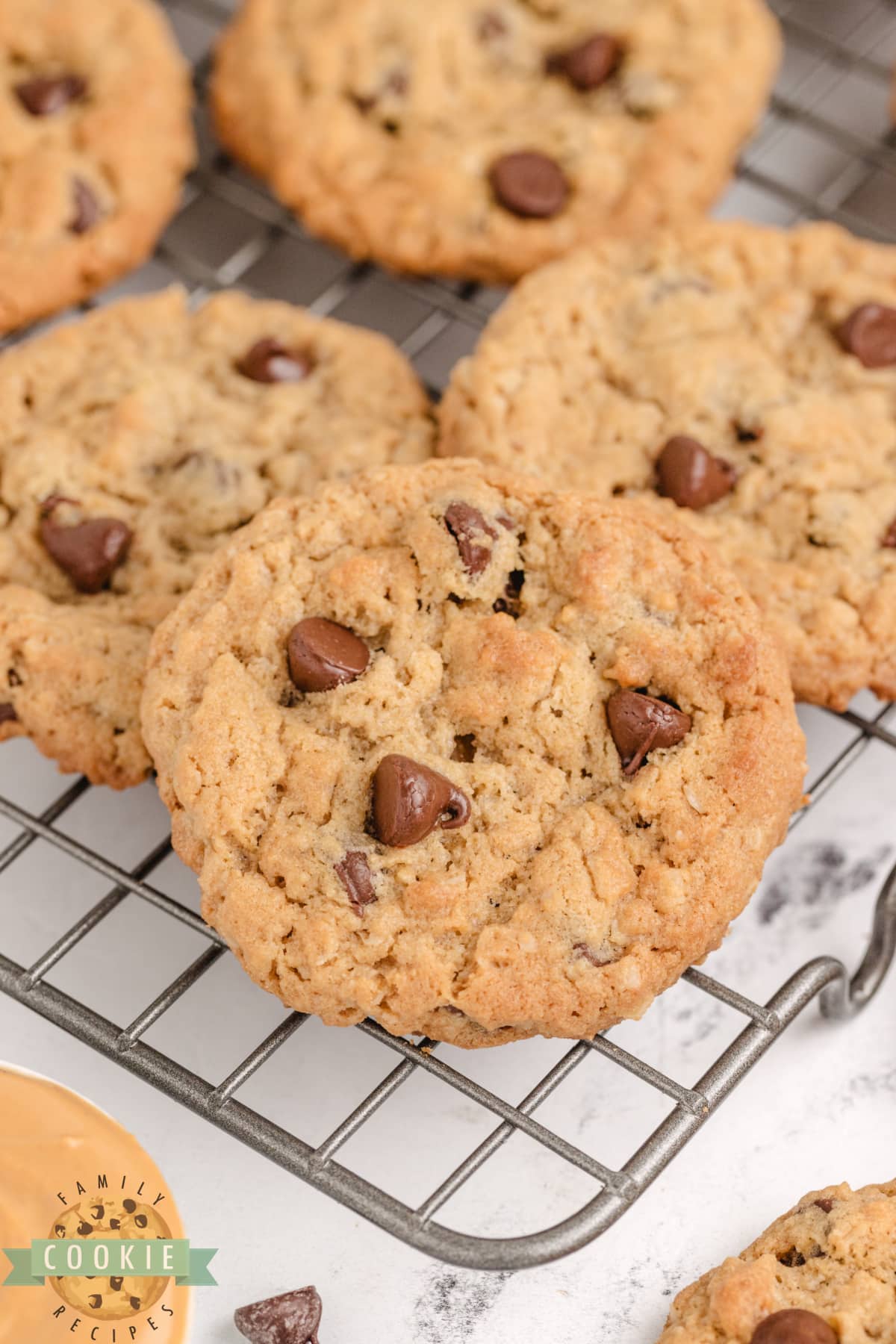 Peanut Butter Oatmeal Chocolate Chip Cookies combine the three most popular types of cookies in one! These thick, chewy cookies are perfect when you can't decide which kind of cookie you want. 