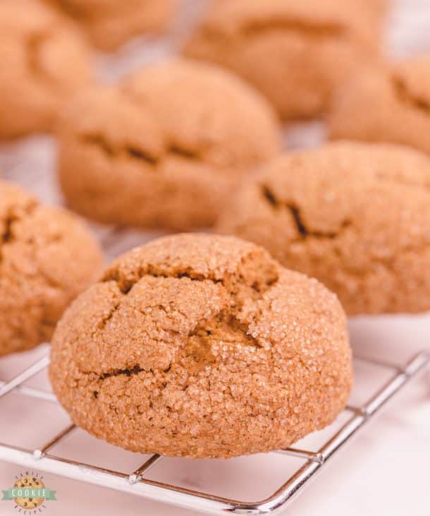 PUMPKIN GINGERSNAP COOKIES Family Cookie Recipes