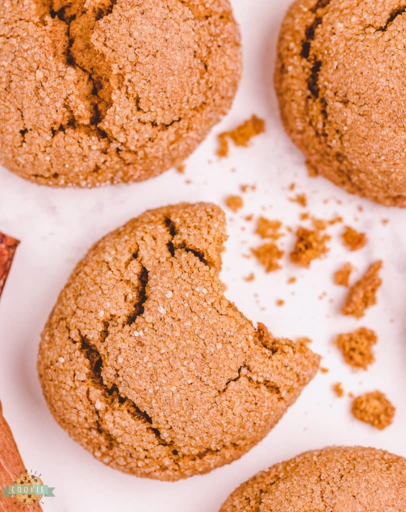 pumpkin gingersnap cookies with a bite