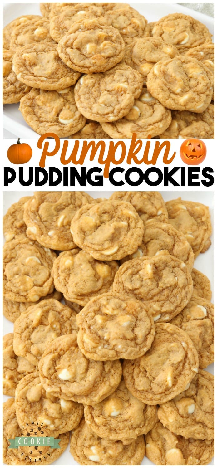 Pumpkin Pudding Cookies are soft, sweet & pumpkin spiced with pudding mix for the best flavor & texture. Easy pumpkin cookies that everyone enjoys! #pumpkin #pudding #cookies #pumpkinspice #Fall #baking #dessert #cookie #recipe Recipe from FAMILY COOKIE RECIPES