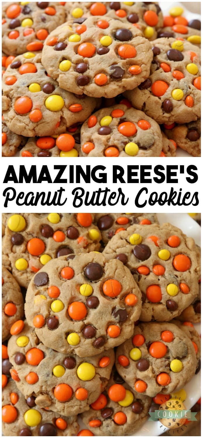 Best Ever Reese's Peanut Butter Cookies recipe made with a full cup of peanut butter! We added chocolate chips plus peanut butter chips & Reese's Pieces to our favorite peanut butter cookie recipe to get the ULTIMATE chocolate peanut butter cookies! Best #PeanutButter #cookie #recipe from FAMILY COOKIE RECIPES! #baking #food #dessert #cookies