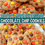 Best Ever Reese's Peanut Butter Cookies made with a full cup of peanut butter! Loaded with chocolate chips, peanut butter chips & Reese's Pieces, to get the ULTIMATE chocolate peanut butter cookies!