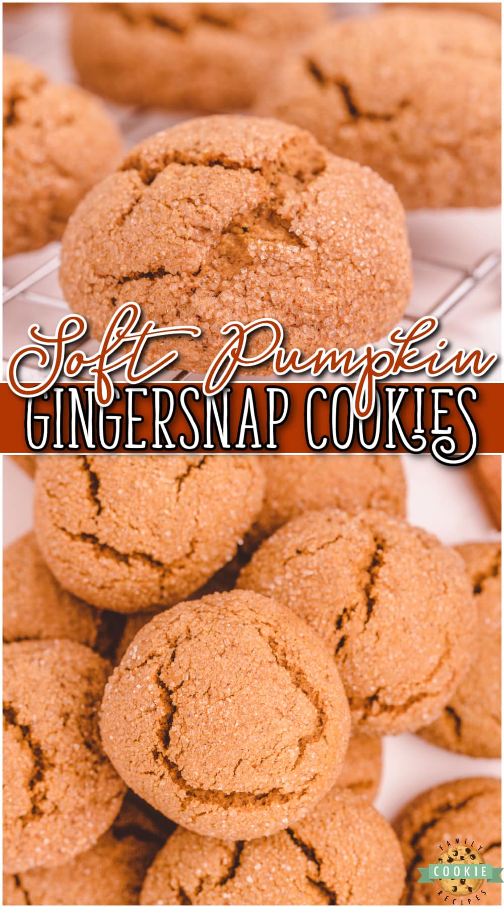 Soft Pumpkin Gingersnap Cookies are wonderfully spiced pumpkin cookies with amazing ginger flavor! Making these pumpkin ginger cookies is simple & everyone loves the soft, chewy texture.