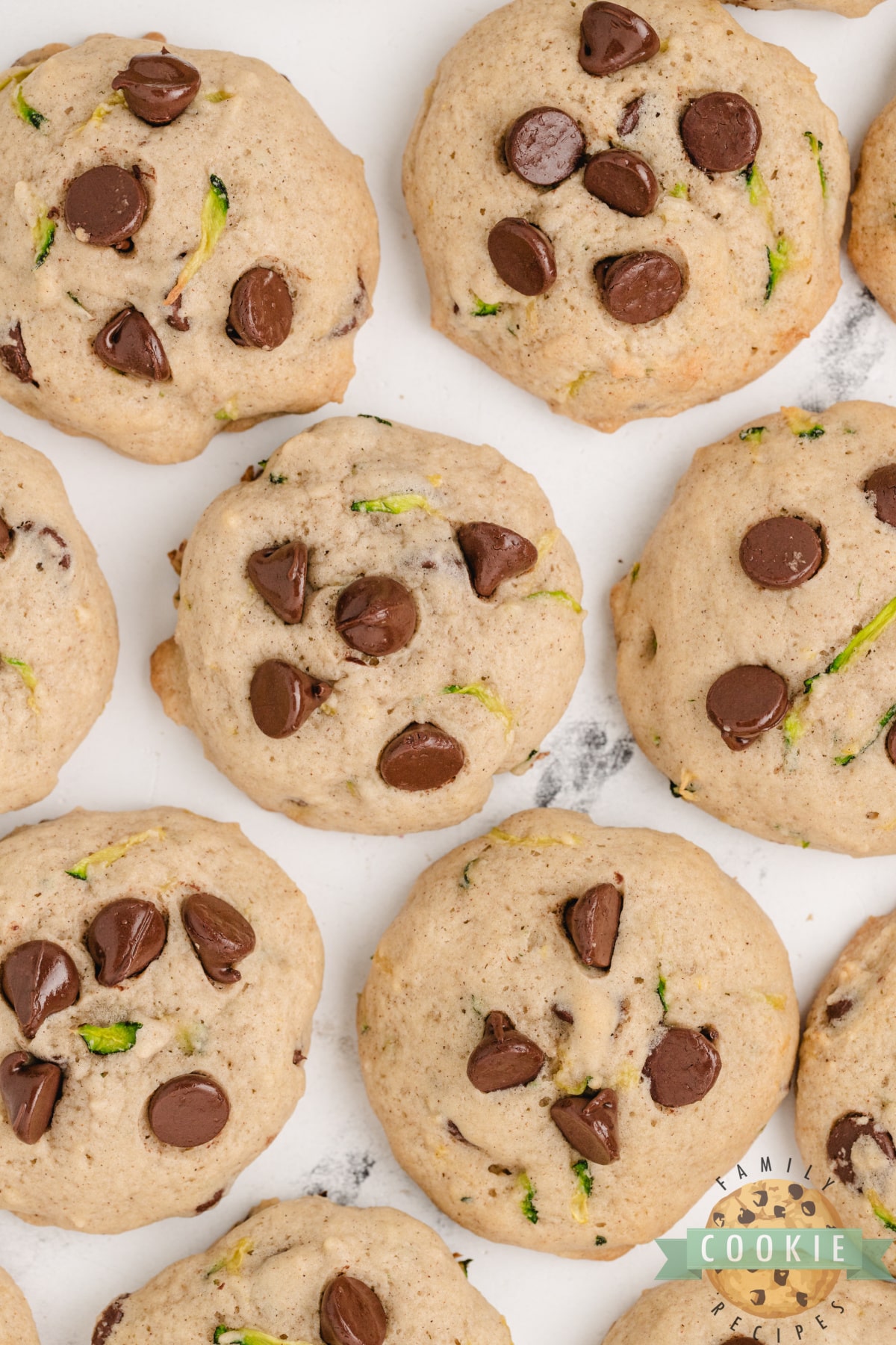 Zucchini Chocolate Chip Cookies are delicious and packed with zucchini. These chocolate chip cookies are the perfect way to sneak in some veggies and use up all the zucchini from your garden!