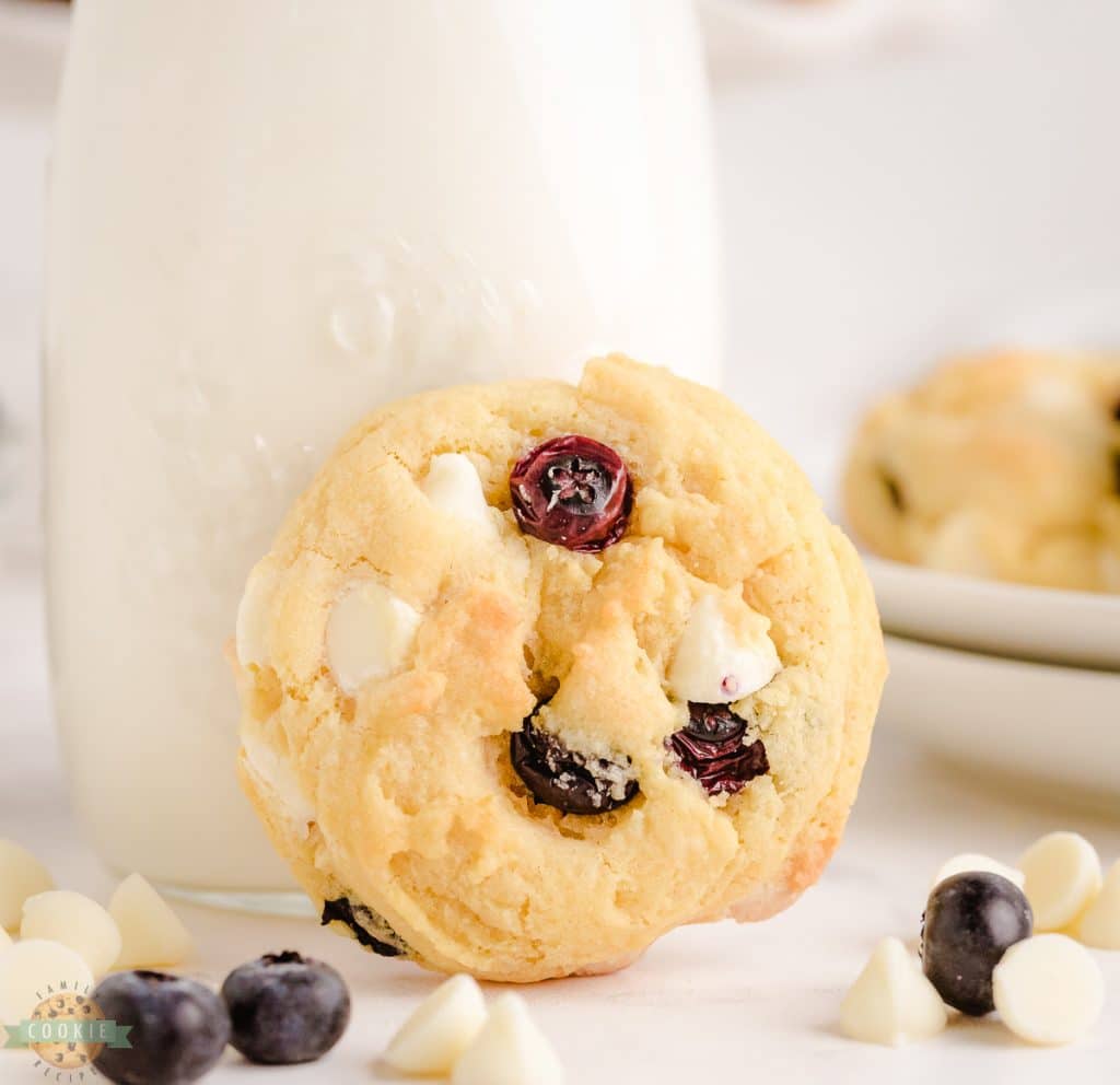 BLUEBERRY CREAM COOKIES Family Cookie Recipes