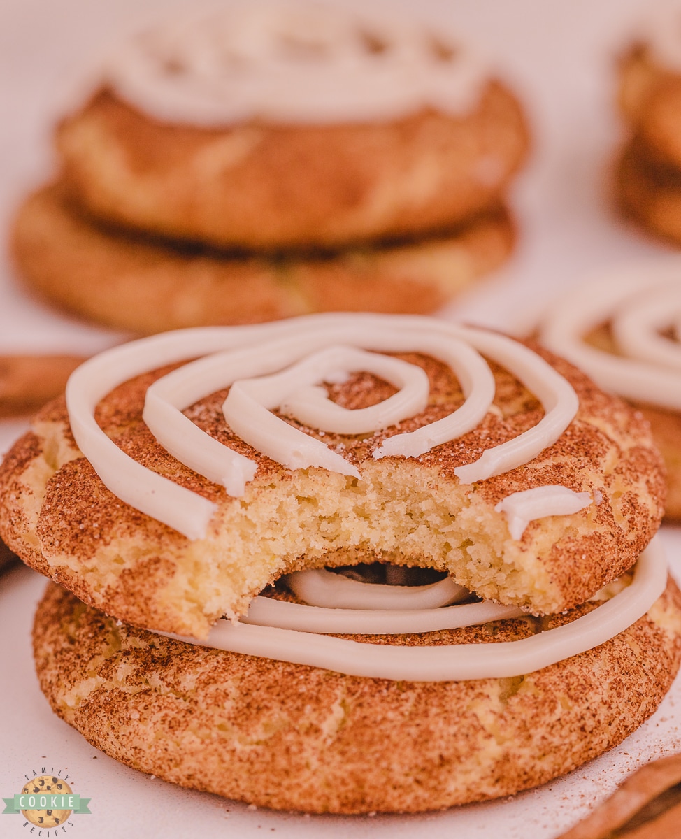 bite out of a cinnamon roll snickerdoodle