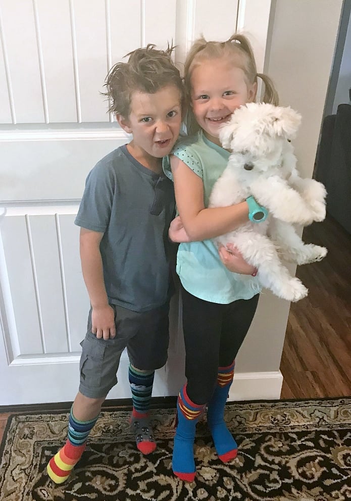 Crazy Hair Day/Crazy Sock Day - Family Cookie Recipes