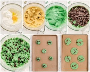 MINT CHOCOLATE CHIP COOKIES - Family Cookie Recipes