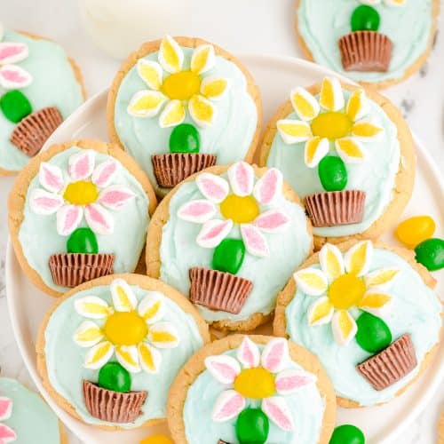 MARSHMALLOW FLOWER COOKIES Family Cookie Recipes