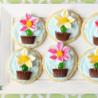 Marshmallow Flower Cookies are easy to make and perfect for Spring baking! Everyone loves these cute treats topped with marshmallow flowers with a jelly bean stem, in a chocolate pot!