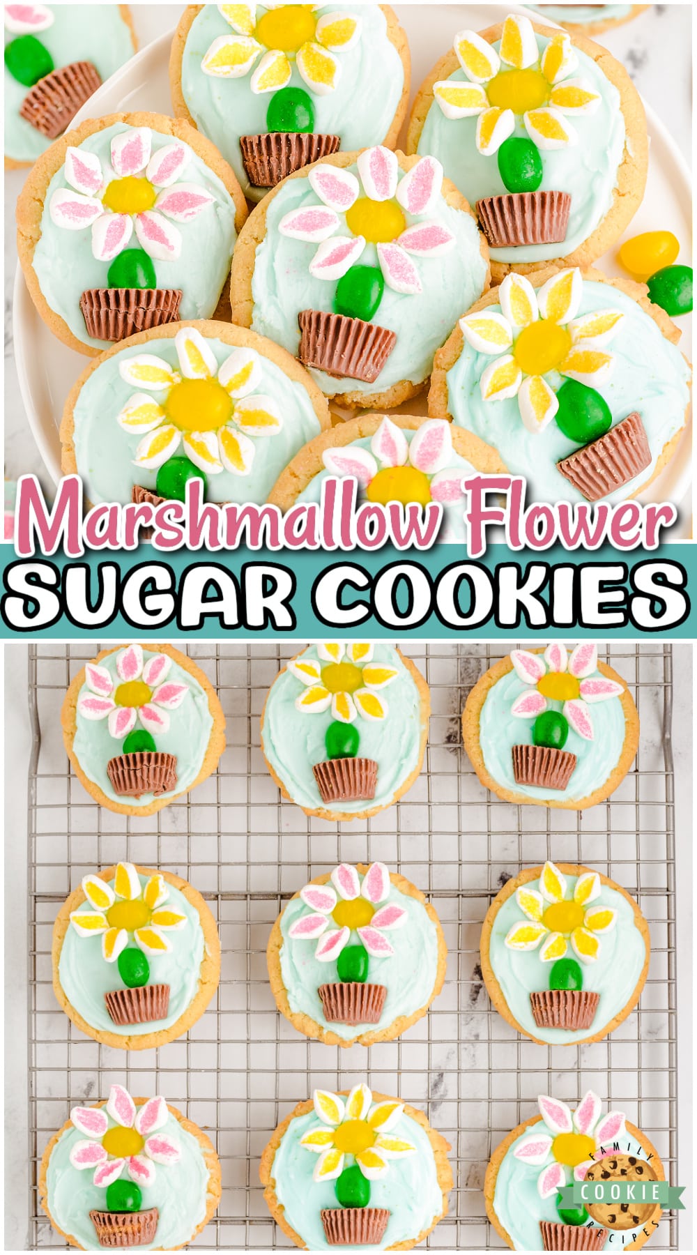 Marshmallow Flower Cookies are easy to make and perfect for Spring baking! Cute flower sugar cookies topped with marshmallow flowers, a jelly bean stem, in a peanut butter chocolate pot.