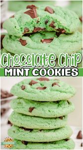 MINT CHOCOLATE CHIP COOKIES - Family Cookie Recipes