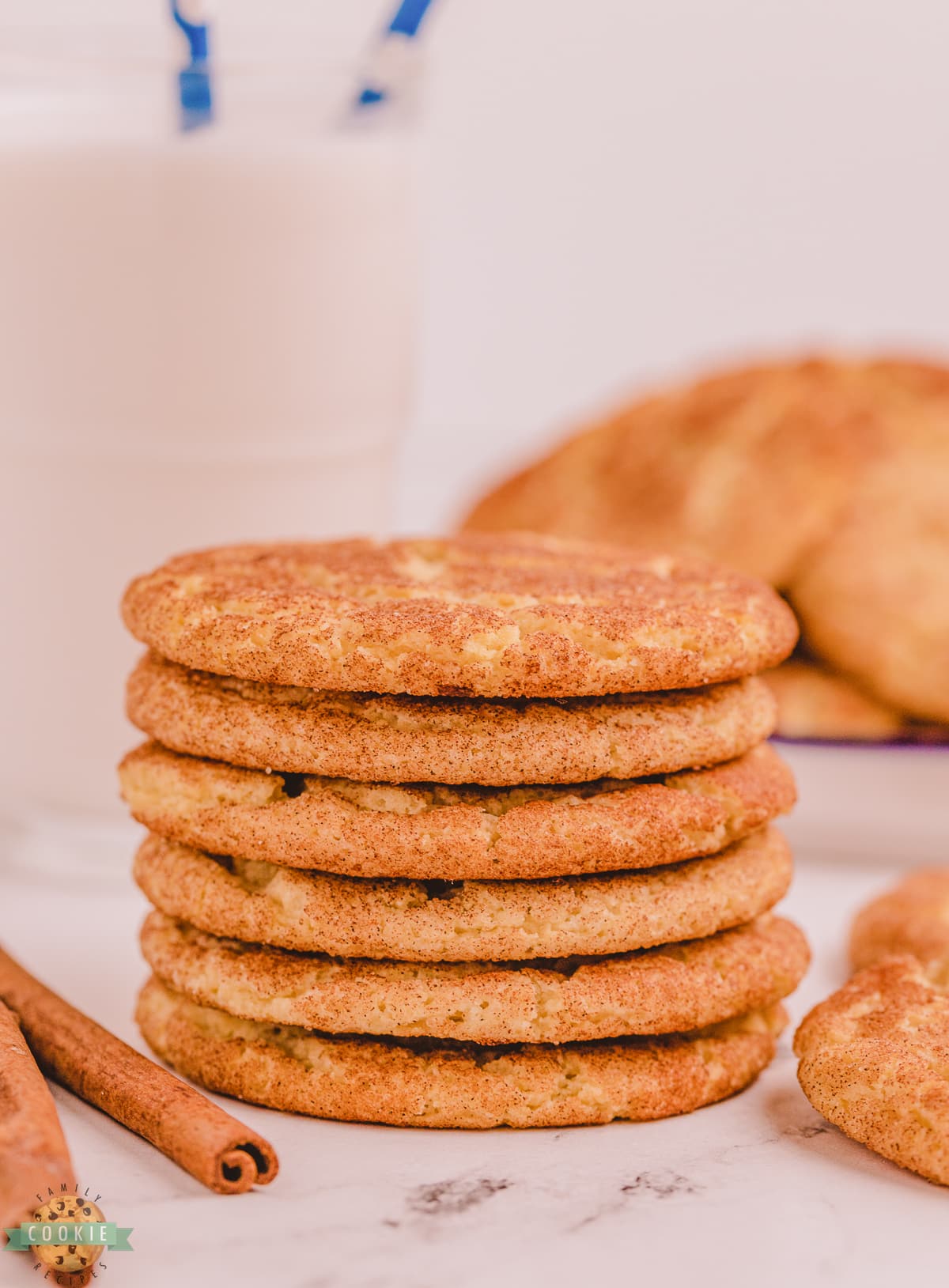 stacked Snickerdoodle cookies