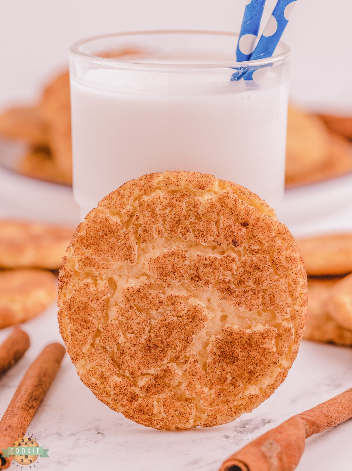 snickerdoodle cookie with milk