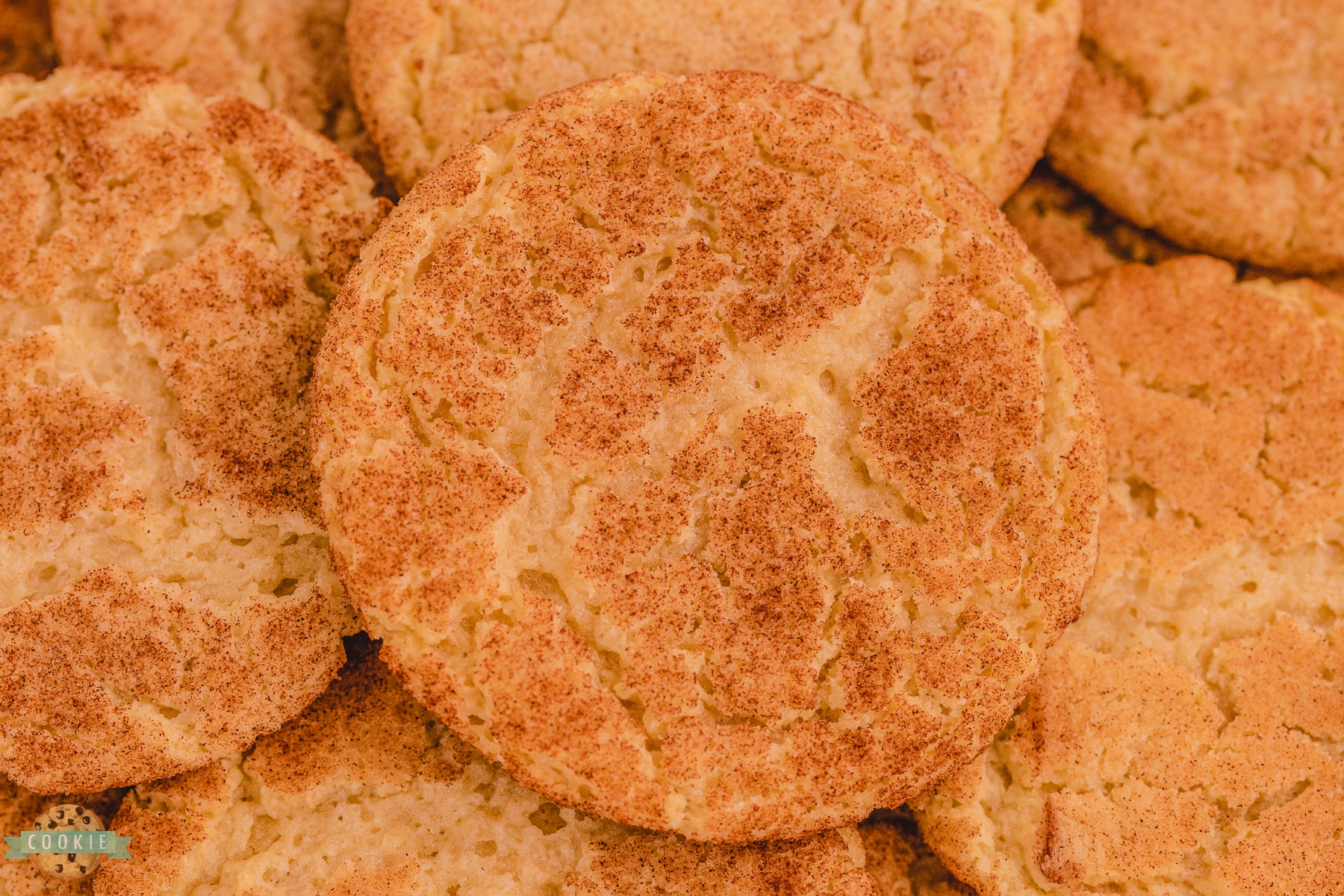 chewy Snickerdoodle cookies