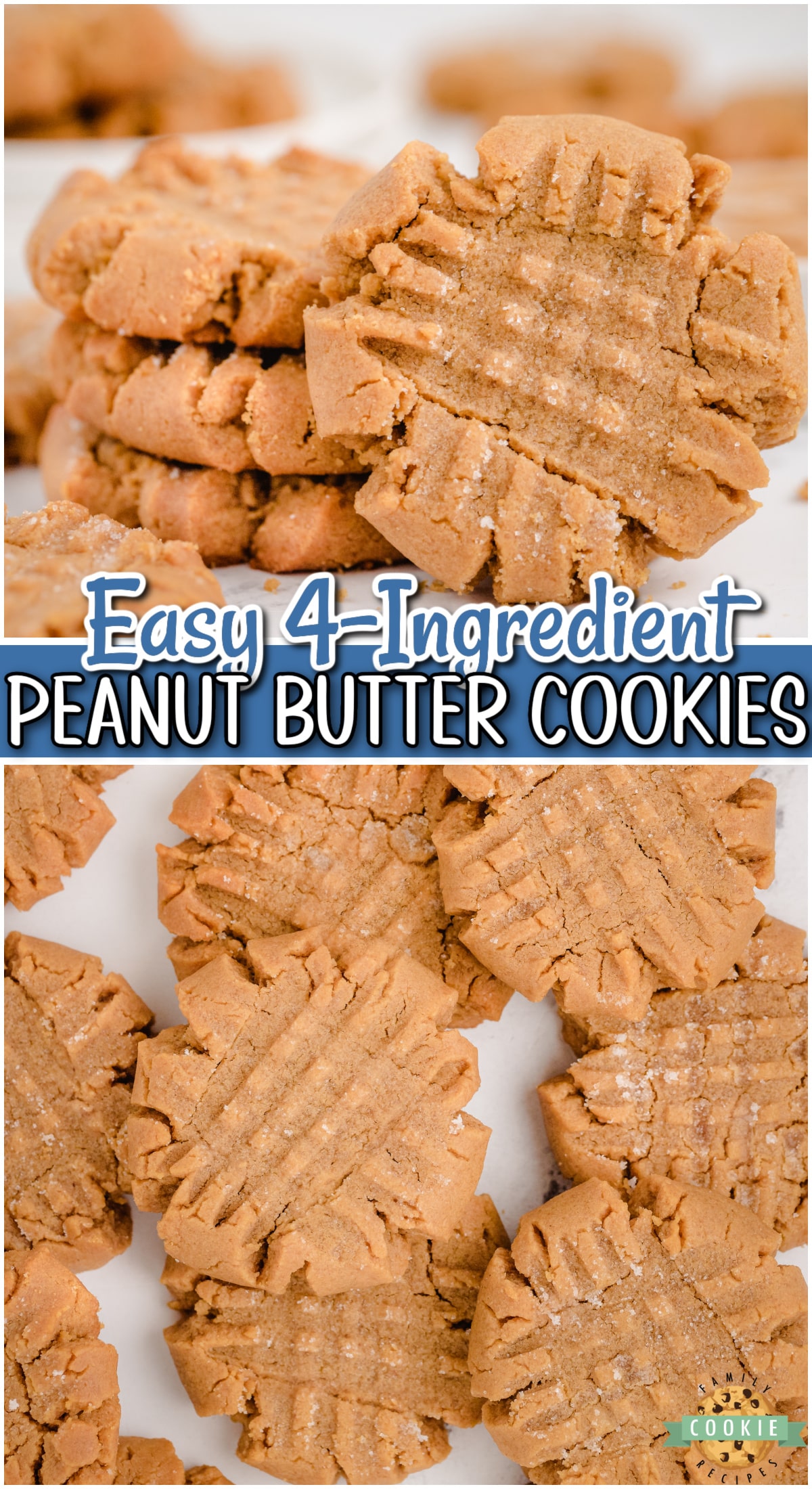 Easy Peanut Butter Cookies made with just a handful of ingredients and no flour! Chewy peanut butter cookie recipe made in minutes & perfect for peanut butter lovers!