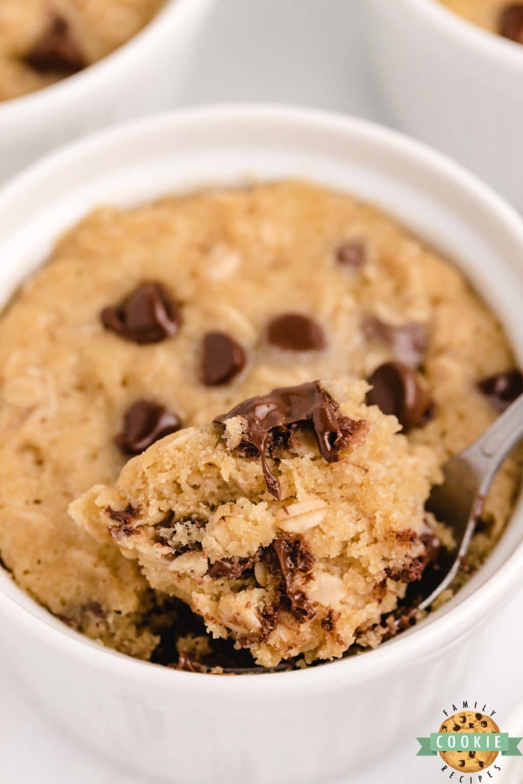MICROWAVE OATMEAL CHOCOLATE CHIP COOKIES Family Cookie Recipes