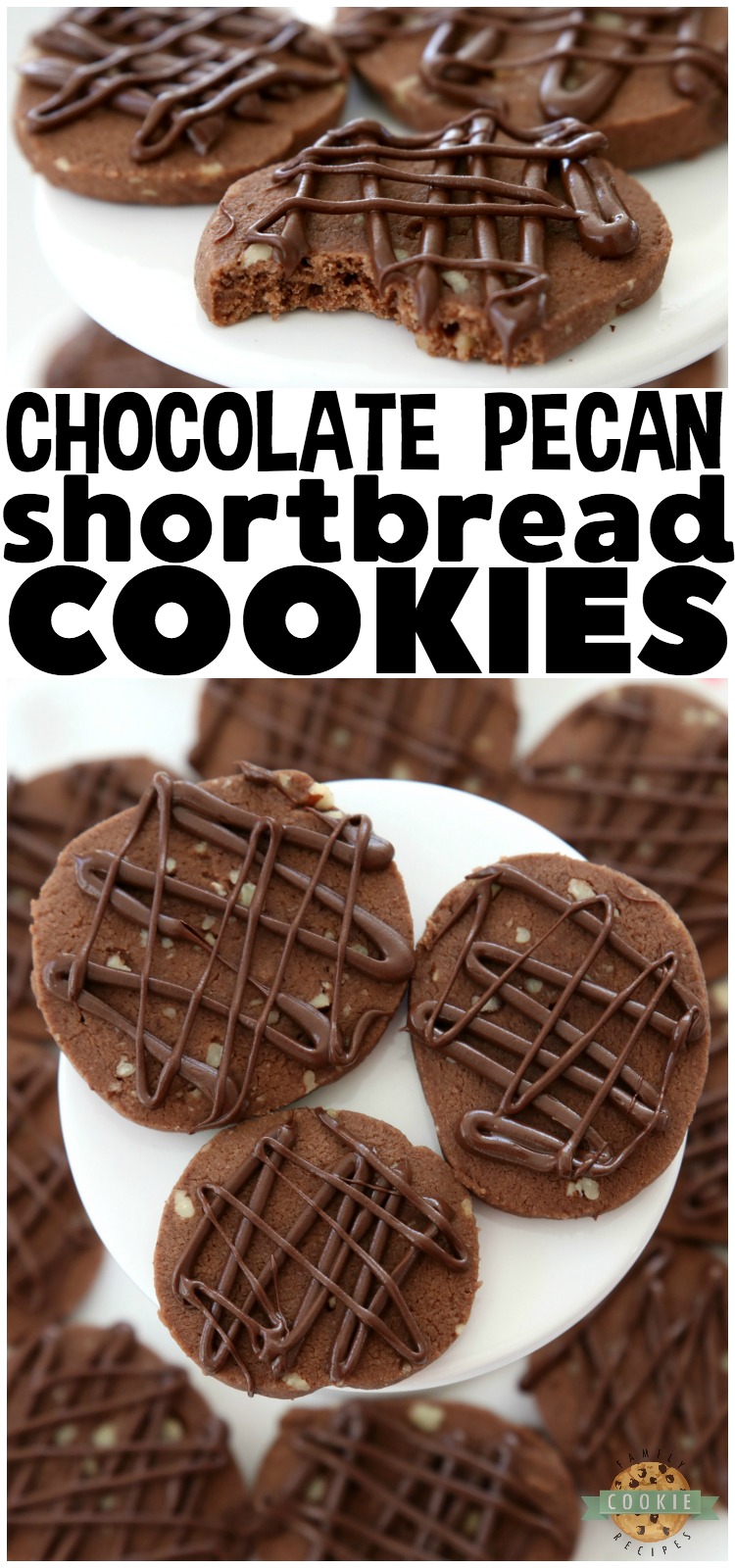 Chocolate Pecan Shortbread Cookies made by adding chopped pecans to our buttery chocolate shortbread then drizzling them with melted chocolate. These incredible shortbread cookies melt in your mouth and have the best chocolate flavor! #COOKIES #shortbread #butter #baking #chocolate #pecan #Christmas #cookie #recipe from FAMILY COOKIE RECIPES