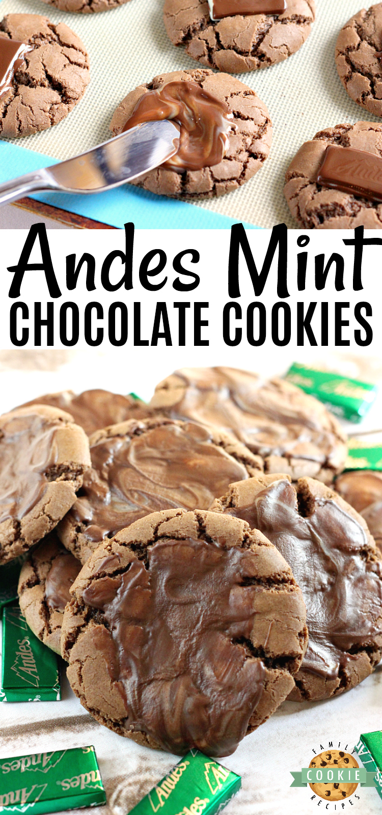 Andes Mint Chocolate Cookies are chewy, chocolate and frosted with a melted Andes mint! These cookies have the perfect combination of chocolate and mint flavors - this is one of my favorite cookie recipes!