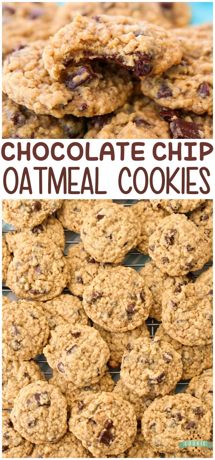 Chocolate Chip Oatmeal Cookies made with classic ingredients for the perfect soft & chewy oatmeal cookie! Amazing homemade cookie recipe you have to try! #cookies #oatmeal #chocolatechip #baking #dessert #recipe from FAMILY COOKIE RECIPES