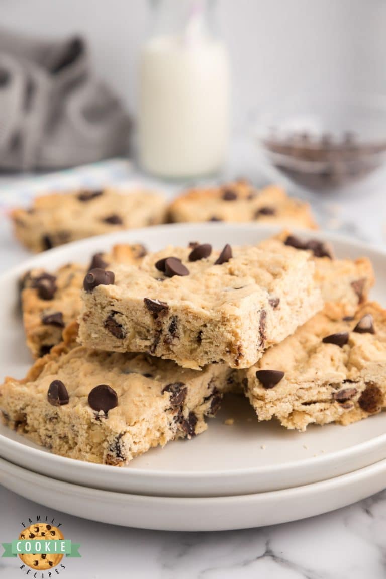 OATMEAL CHOCOLATE CHIP BARS Family Cookie Recipes