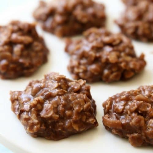 BEST NO BAKE COOKIES (made without Peanut Butter!) Family Cookie Recipes