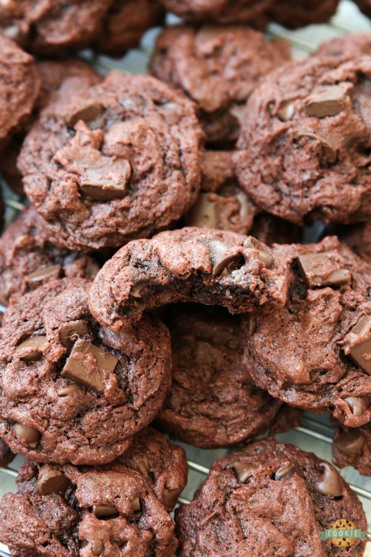 DOUBLE CHOCOLATE CHIP PUDDING COOKIES - Double Chocolate Pudding Cookies made with chocolate pudding mix for soft, sweet cookies with incredible chocolate flavor! Best cookies for chocolate lovers for sure. #cookies #chocolate #baking #dessert #chocolatechips #pudding #recipe from FAMILY COOKIE RECIPES