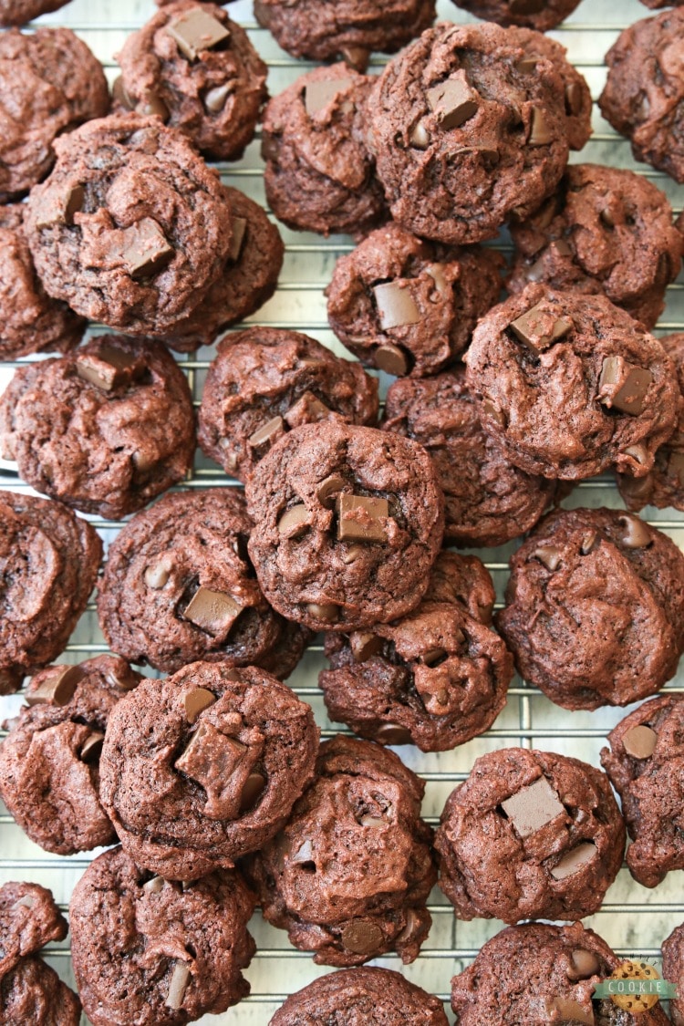 DOUBLE CHOCOLATE CHIP PUDDING COOKIES - Double Chocolate Pudding Cookies made with chocolate pudding mix for soft, sweet cookies with incredible chocolate flavor! Best cookies for chocolate lovers for sure. #cookies #chocolate #baking #dessert #chocolatechips #pudding #recipe from FAMILY COOKIE RECIPES