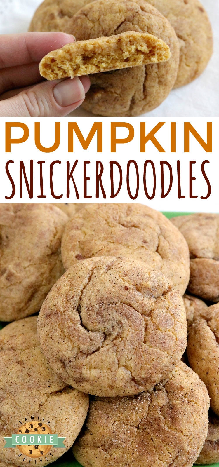 Pumpkin Snickerdoodles are soft, chewy and packed with pumpkin flavor! These delicious pumpkin cookies are rolled in cinnamon and sugar - one of my favorite fall cookie recipes!