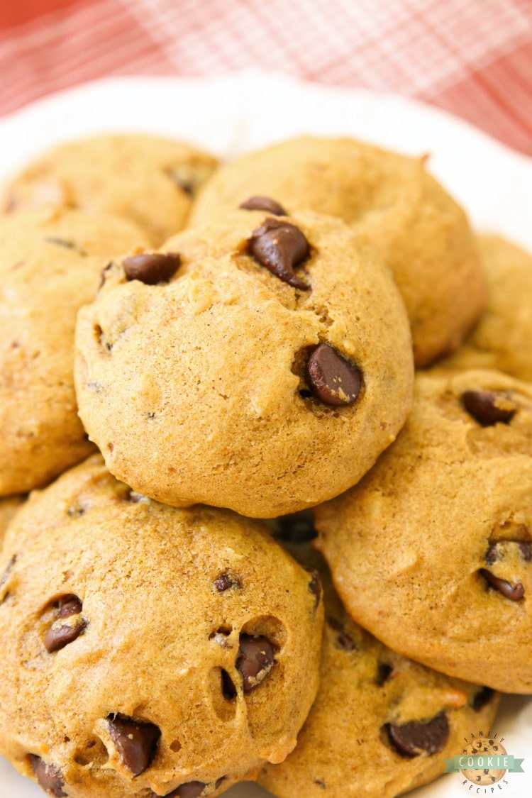 Delicious Pumpkin Chocolate Chip Cookies are incredible pillows of soft and chewy cookie goodness! Pillowy soft chocolate chip cookies straight from the oven are made even better with the addition of pumpkin. 