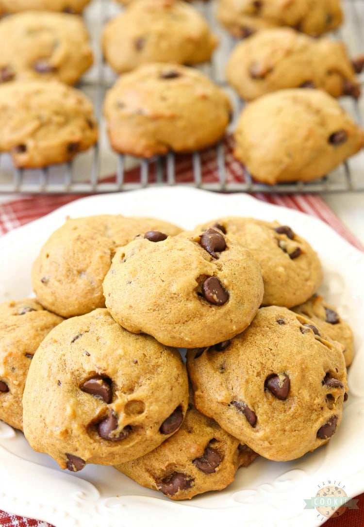 Delicious Pumpkin Chocolate Chip Cookies are incredible pillows of soft and chewy cookie goodness! Pillowy soft chocolate chip cookies straight from the oven are made even better with the addition of pumpkin. #chocolatechip #pumpkin #cookies #baking #dessert #recipe from FAMILY COOKIE RECIPES
