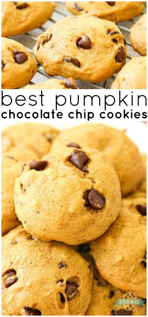 PUMPKIN CHOCOLATE CHIP COOKIES - Family Cookie Recipes