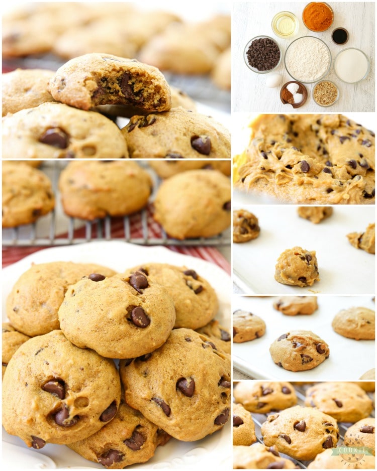 Delicious Pumpkin Chocolate Chip Cookies are incredible pillows of soft and chewy cookie goodness! Pillowy soft chocolate chip cookies straight from the oven are made even better with the addition of pumpkin. 