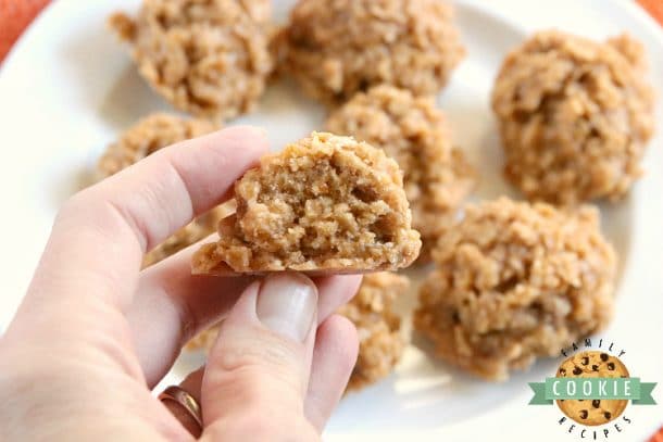 NO BAKE PUMPKIN COOKIES - Family Cookie Recipes